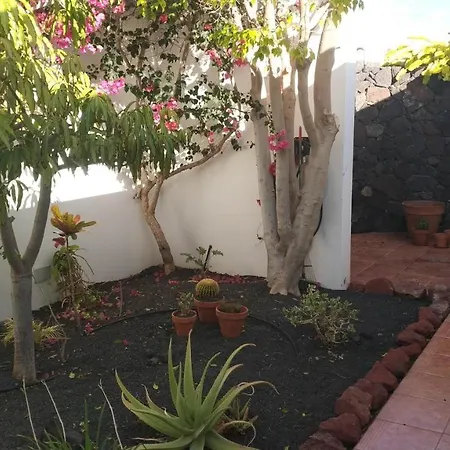 Casa Mango - Coloradas - 빌라